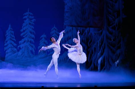 queensland ballet the nutcracker.